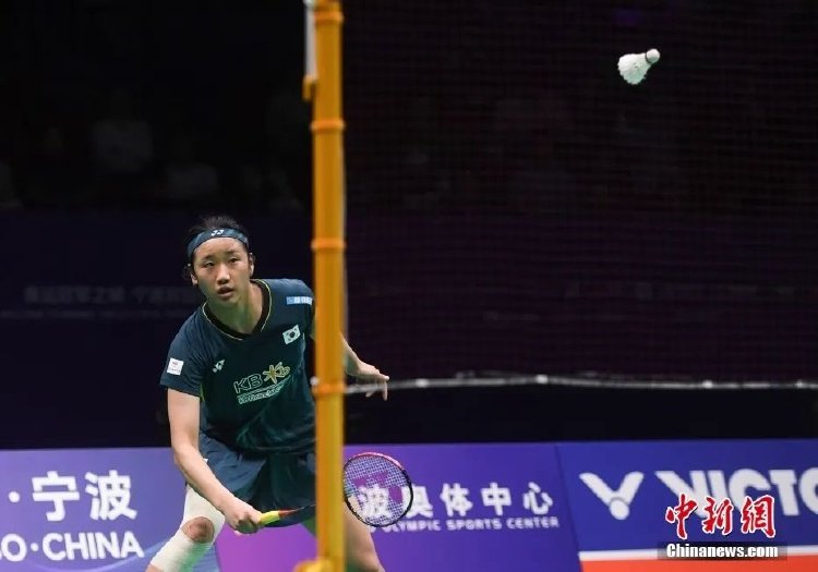 供了宝贵的 供了宝贵的